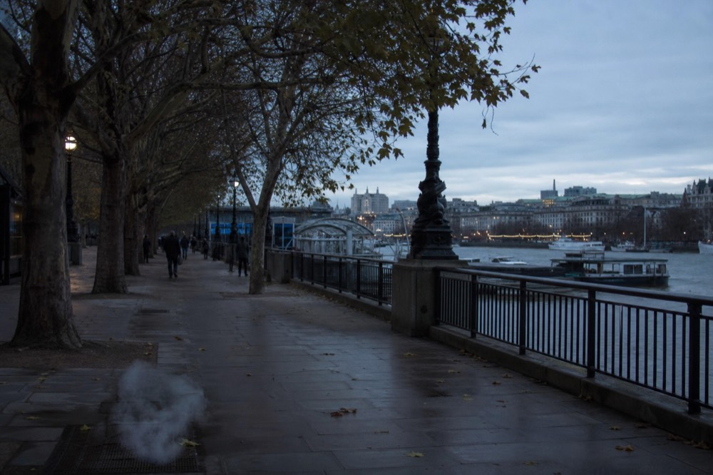 The riverside walkway on the south bank leading to a pier entrance, plane trees along the railing and the wide river beyond