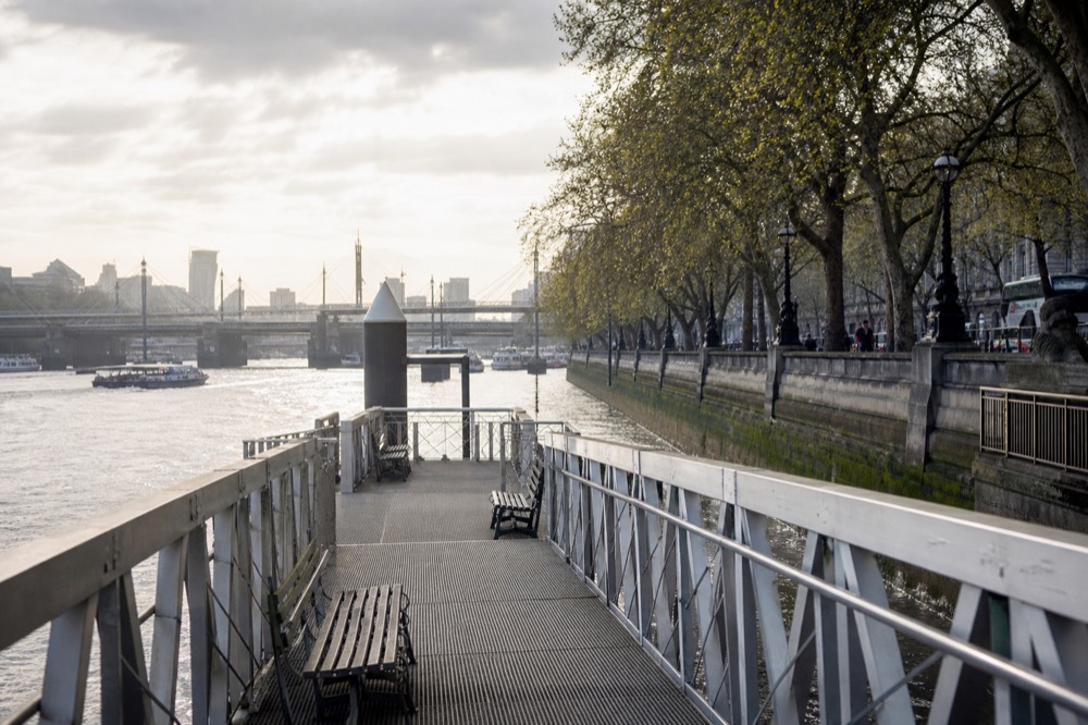A floating pier gangway at Embankment on a bright morning, empty benches on the pontoon and plane trees along the river wall behind